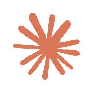 Claude Pro Bangladesh logo